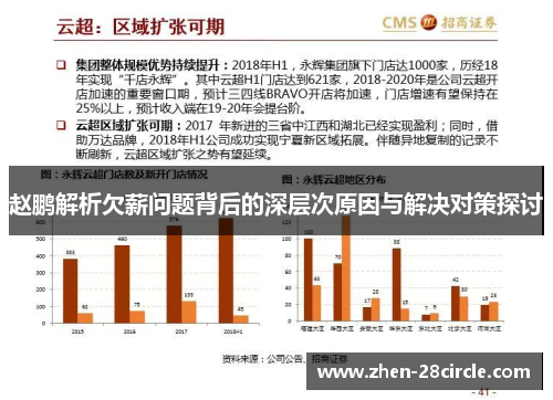 赵鹏解析欠薪问题背后的深层次原因与解决对策探讨