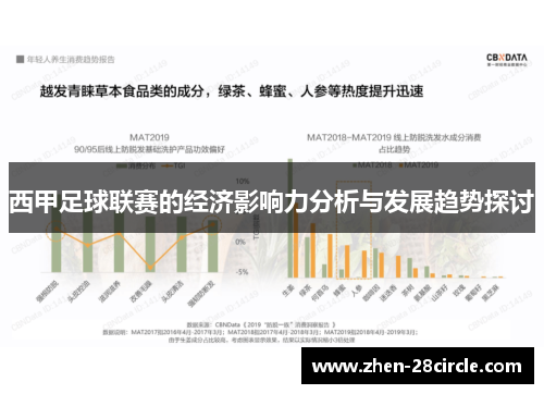 西甲足球联赛的经济影响力分析与发展趋势探讨